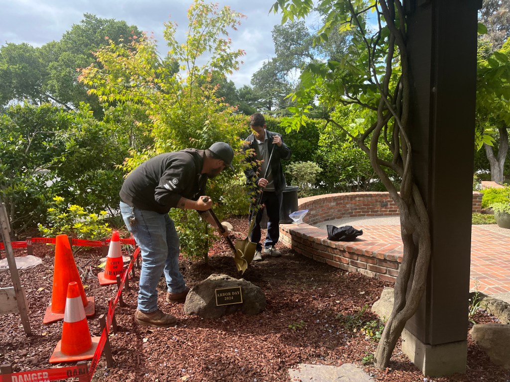 Saratoga is a community rooted in nature – The Mercury News