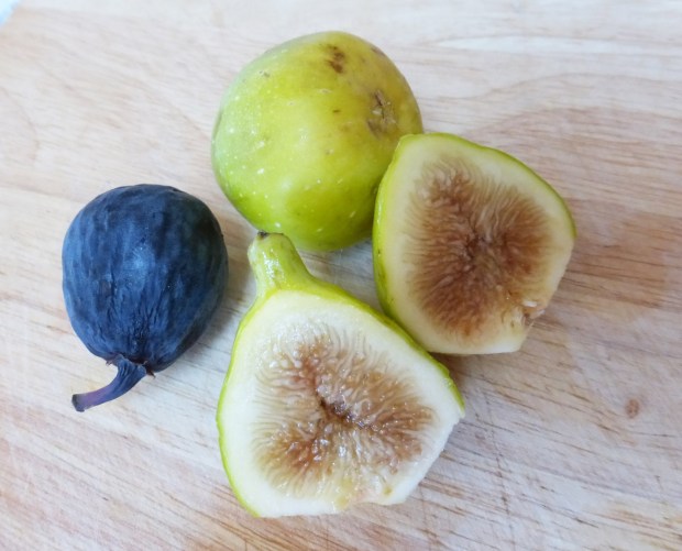 Fig fruit comes in many different sizes, flavors and colors. (Zoya Akulova-Barlow)