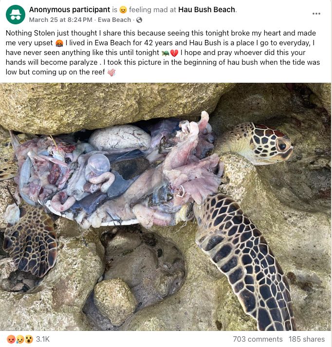 A screenshot of a post that appeared in the Stolen Stuff Hawaii Facebook group.