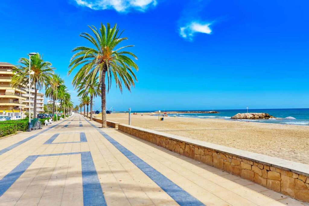 Spain’s Beaches Are Overrun by Jellyfish