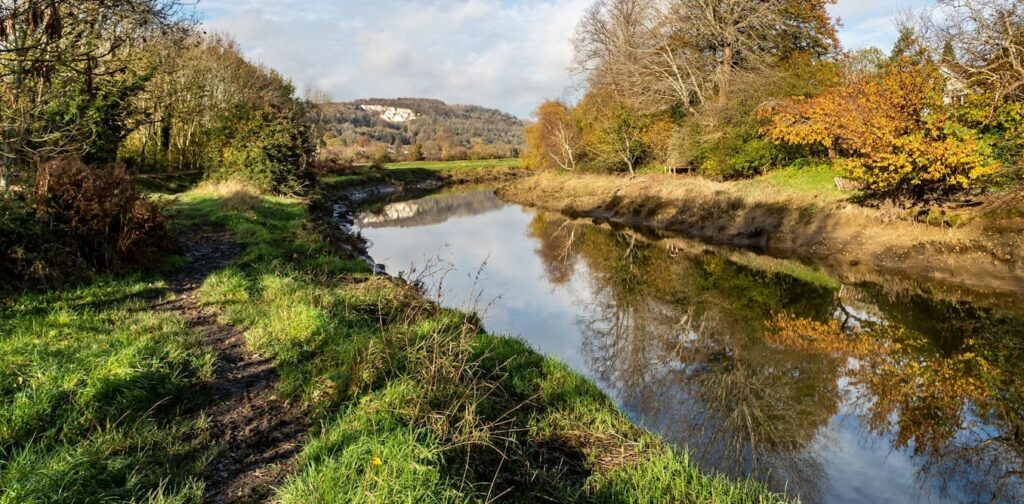 As a growing trend, a river has been granted legal rights much like a corporation (legally a person) does. This may be extended to forests and lakes
