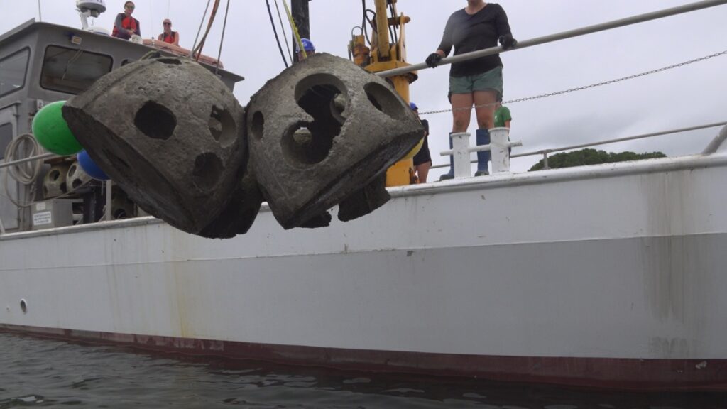Maryland braces for impact of potential environmental protection rollbacks