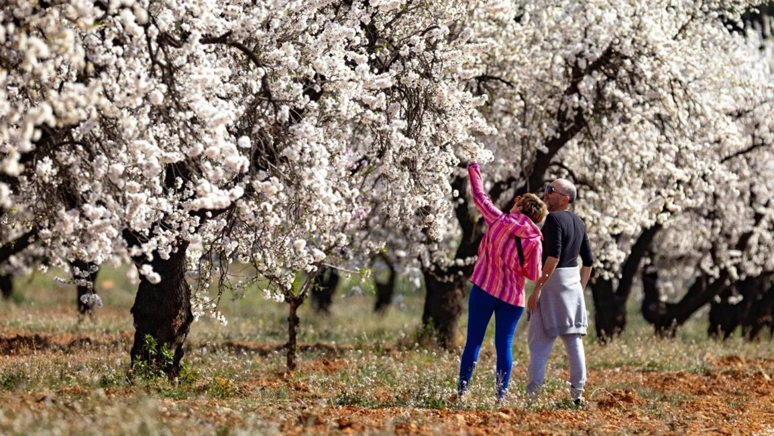 Spain goes two years without a cold wave with another warmer than normal winter Spain goes two years without a cold wave with another warmer than normal winter