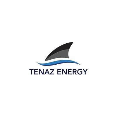 TENAZ ENERGY CORP. ANNOUNCES 2024 YEAR-END RESULTS TENAZ ENERGY CORP. ANNOUNCES 2024 YEAR-END RESULTS