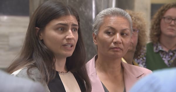 Call for PM to step in over Peters' comment on Green MP