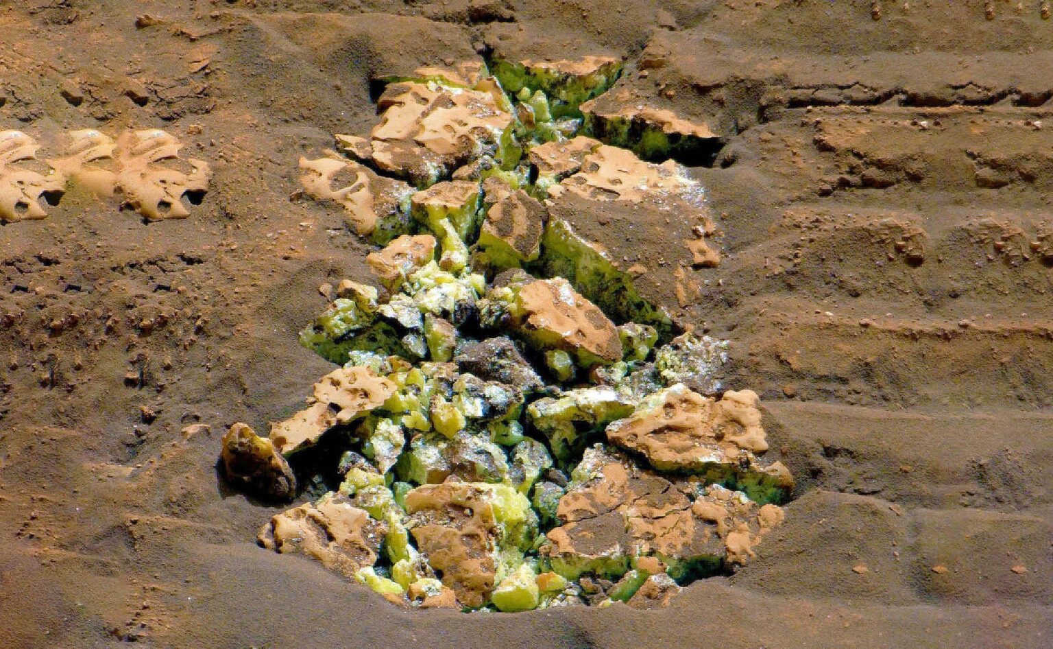 Curiosity rover makes incredible discovery that hints at life on Mars - Earth.com