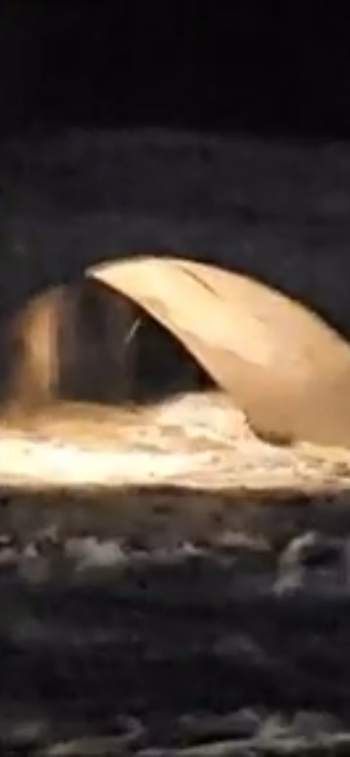 The Roman bridge of Santa Catalina collapses in Talavera de la Reina The Roman bridge of Santa Catalina collapses in Talavera de la Reina
