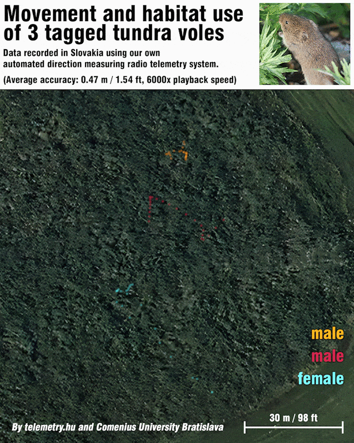 [OC] Movement and Habitat Use of Tundra Voles Visualized
