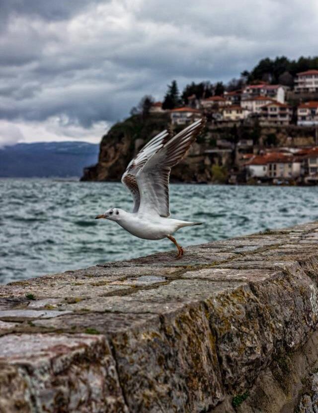 Nature
