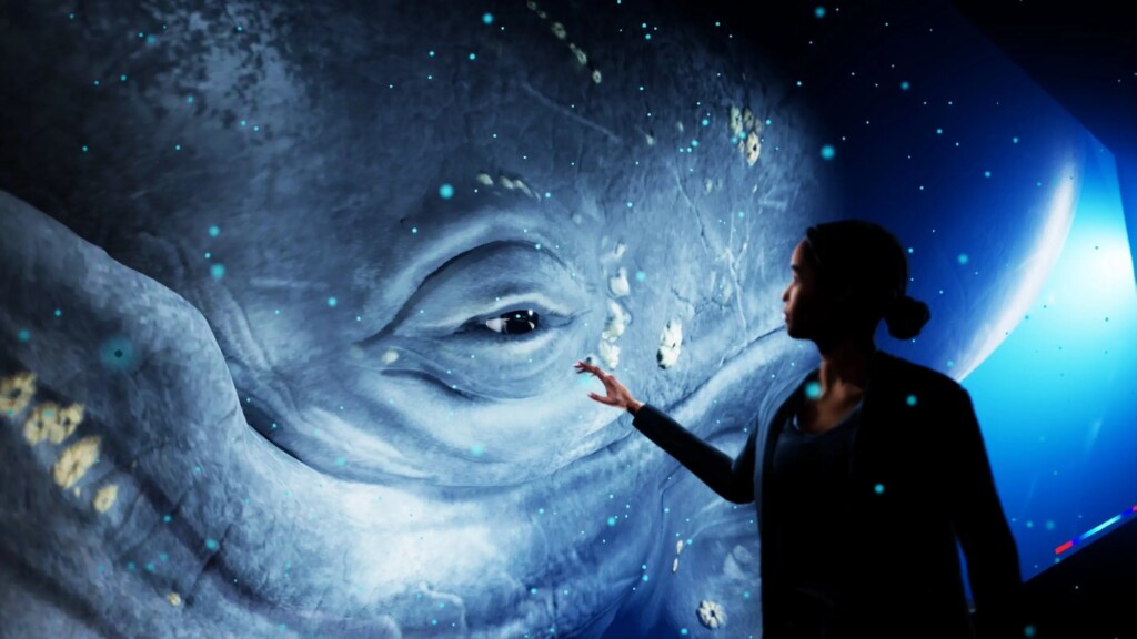 hologram zoo australia