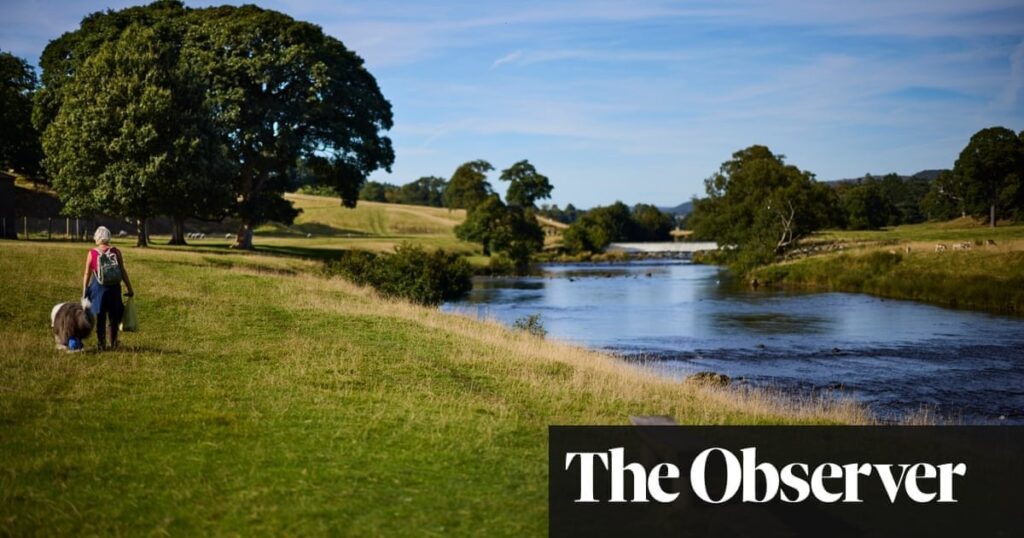 ‘The sewage scandal ends now’: UK water company fines to be used to clean up rivers