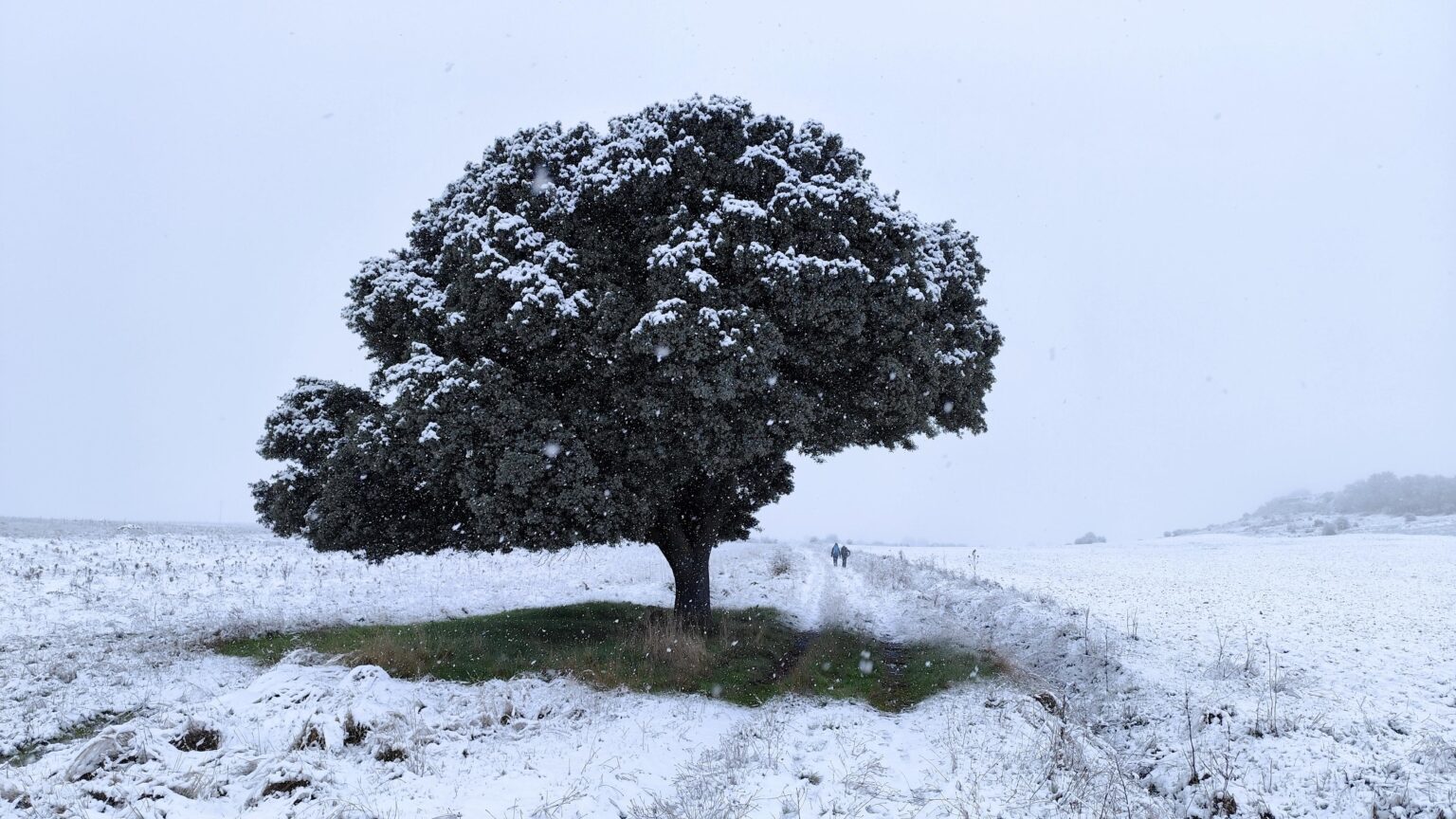 Snowned field in Tamajón, Guadalajara.