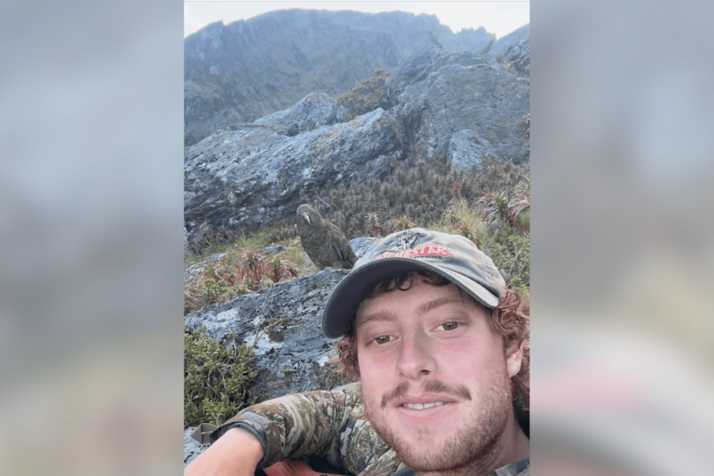 Pack of Rare 'Cheeky' Mountain Parrots Stalks New Zealand Man