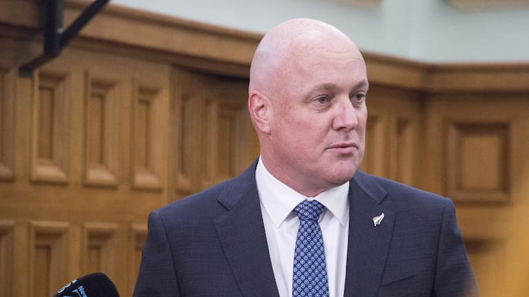 Prime Minister Christopher Luxon (file image).