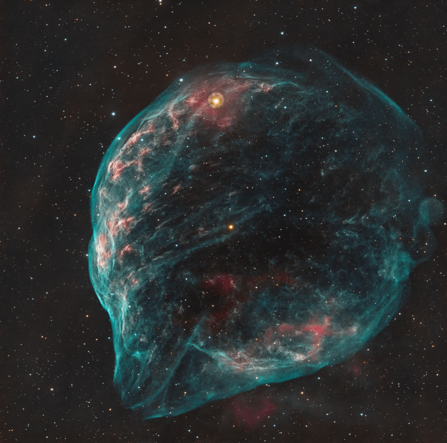 The Dolphin Head Nebula - 23 hours of pointing at the sky with my telescope and camera