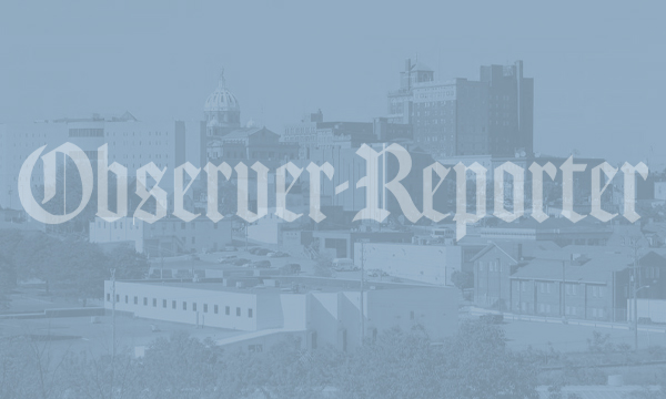 Stressed electric grid will power W&J’s next energy webinar