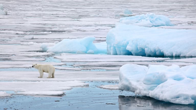 Melting ice is slowing the AMOC, changing the climate around the world, including Aotearoa. . 