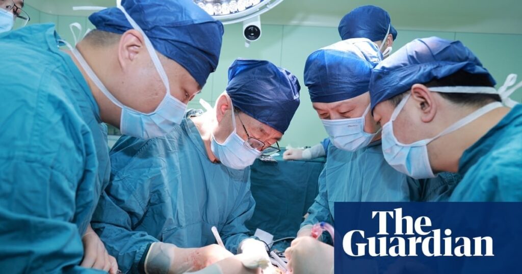 Surgeons transplant genetically modified pig liver into Chinese patient | Organ appears to function for 10 days, raising prospect of short-term use for those on transplant list