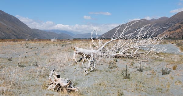 Scientists predict NZ will get drier, Northern Australia wetter