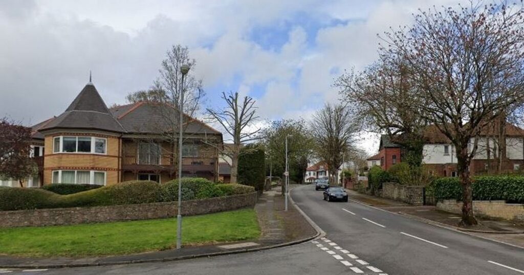 Teenager in BMW hit woman while driving at 60mph in 20mph street