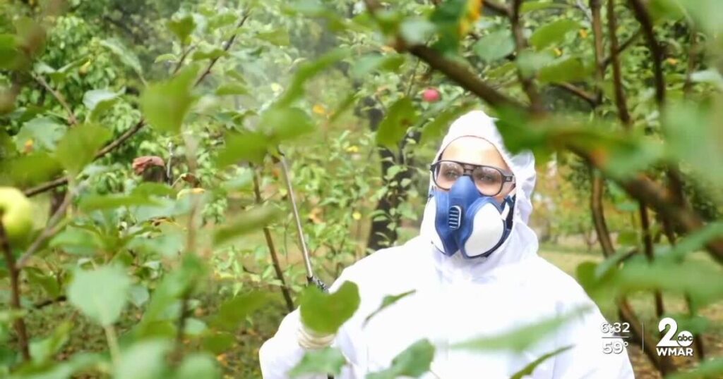 Forever chemicals and their lasting effects in your environment Forever chemicals and their lasting effects in your environment