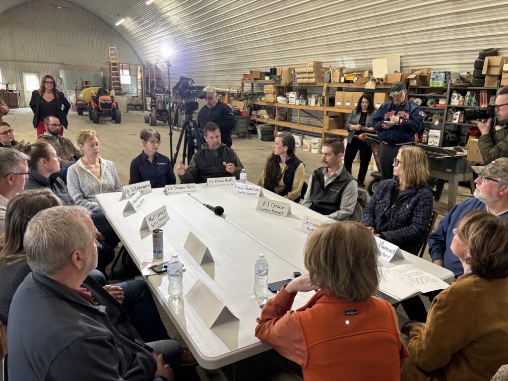 Avian influenza tops list of concerns for Minnesota turkey industry - Agweek