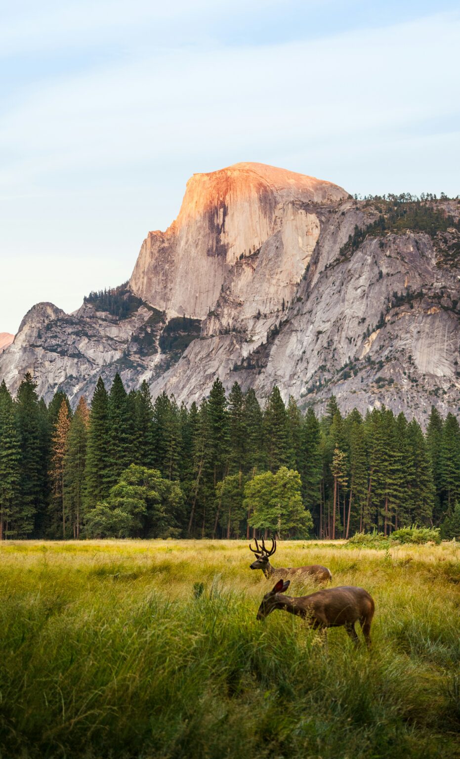 Nature's Rights and Why We Need to Revaluate Our Connection to the
