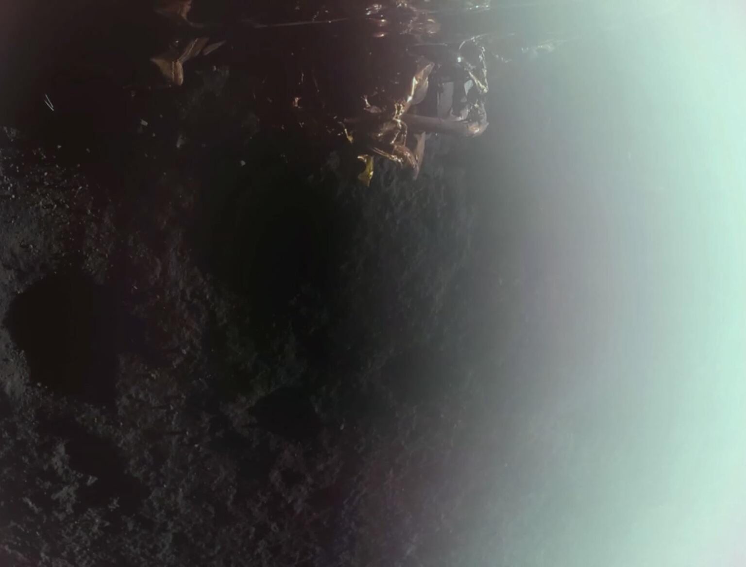 The first picture taken by Blue Ghost!!!