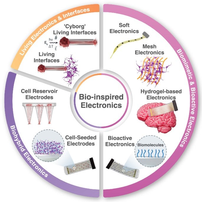 The Future of Brain Implants: Soft, biohybrid, and ‘living’ neural interfaces could revolutionize brain implant technology, improving long-term performance and integration. A recent review in Nature Communications explores the latest advances in bio-inspired electronics 🧠⚡