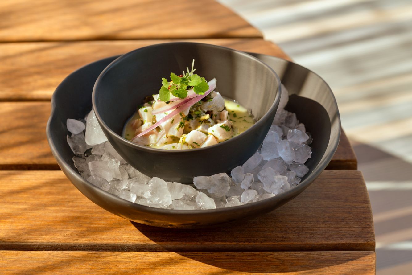 Ceviche in a bowl on ice.