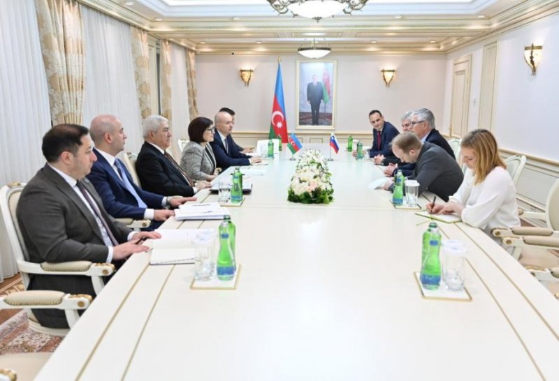 Azerbaijan and Slovenia discuss strengthening interparliamentary ties