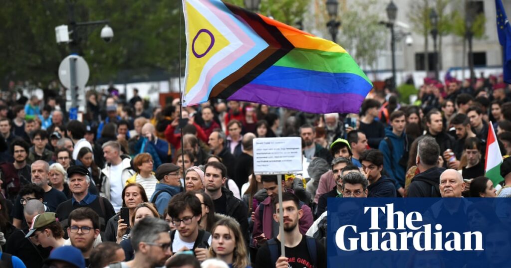 MEPs call for EU court to suspend Hungary’s Pride ban | Hungary
