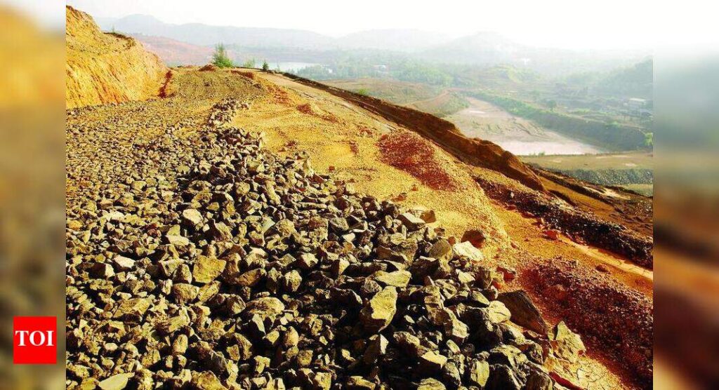 Environment clearance for dump mining to cost Rs 4 lakh per 100ha | Goa News