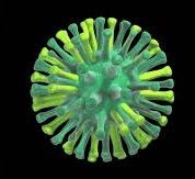 New Zealand strengthens preparedness for potential arrival of H5N1