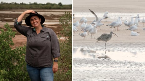 Endangered far eastern curlews, and the scientist standing up for them – video