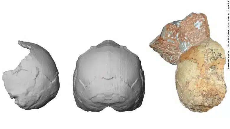 190709160059 Ancient Finds Apidima 01 0709 Exlarge 169