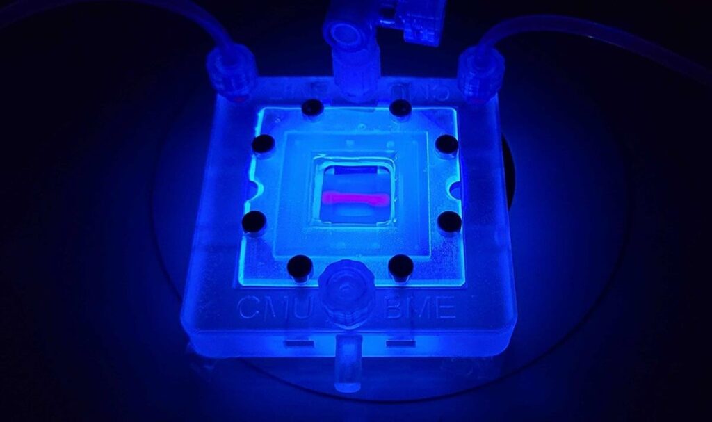 Carnegie Mellon researchers have used FRESH 3D bioprinting to 3D-print living tissue that has cured Type 1 diabetes in lab tests.