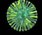 New Zealand strengthens preparedness for potential arrival of H5N1