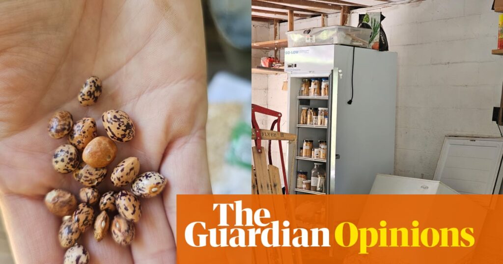 I don’t want to die with a freezer full of seeds. Biodiversity and preservation need rethinking | Chris Smith