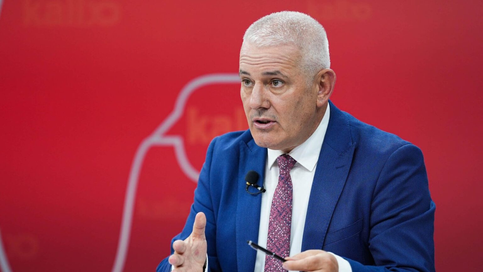 Sveçla: 16 people from Serbia are detained, evidence of links with Serbian military intelligence structures and Banjska group are found