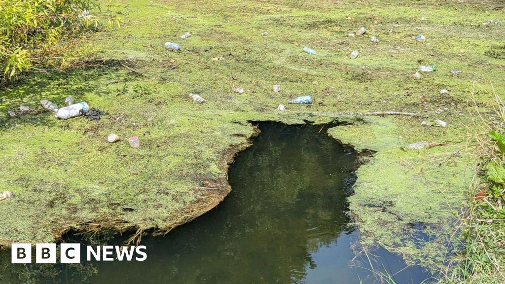 England's serious water pollution incidents at 10-year high