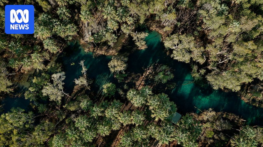 Environment Centre NT launches legal action against government's Mataranka water plan