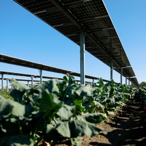 Daily Hampshire Gazette - Bill would allow Chapter 61A exception for renewable energy at farms