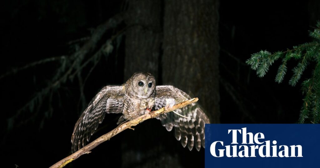 Trump administration moves to narrow protections for endangered species | Trump administration