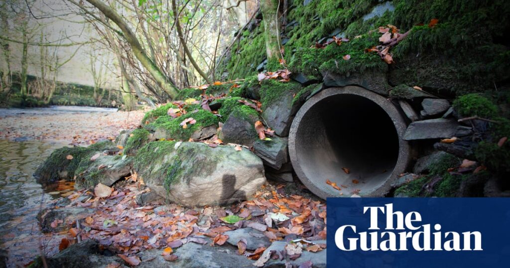 Water companies’ pollution incidents in England increased by 30% in 2024 | Environment