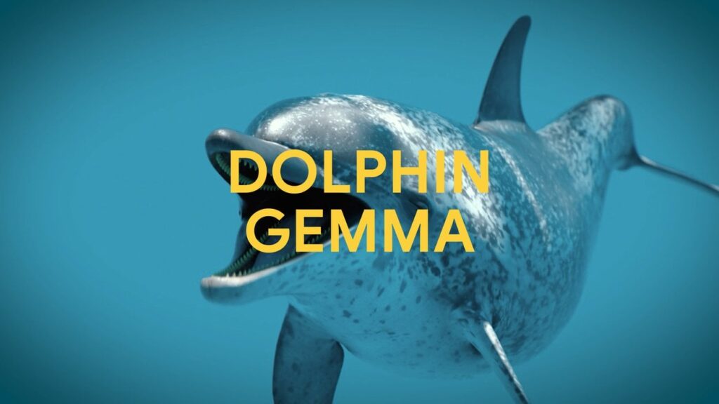Google Introduces DolphinGemma, an LLM fine-tuned on many years of dolphin sound data 🐬