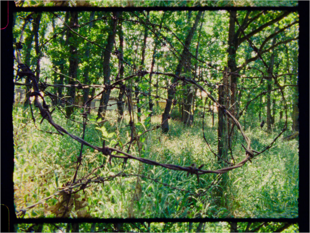 Through the Prism of Borders—Episode 2: Artistic Journeys In-Between Bulgaria, Greece and Turkey - Announcements