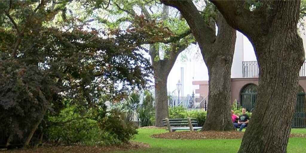 City of Charleston launches the first-ever environmental corridor in Southeast