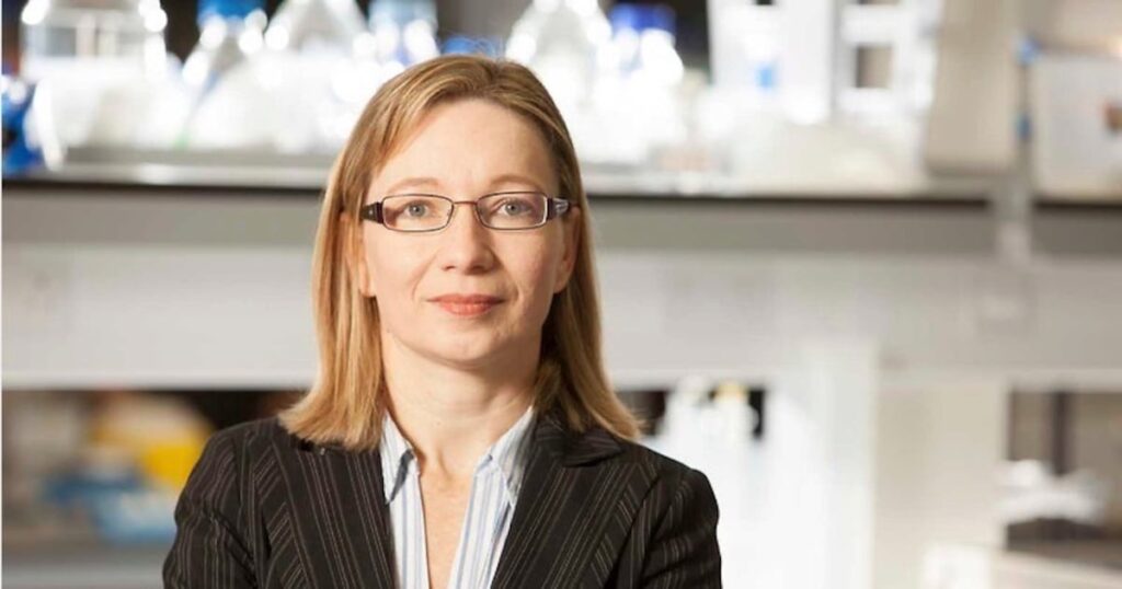 Creating the best environment to stop cancer cells – The Irish Times