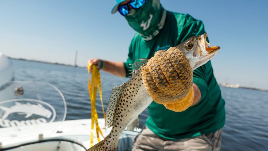What’s contaminating Tampa Bay’s fish? These scientists are angling for answers